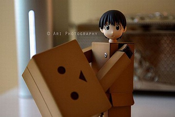 danboard_12.jpg